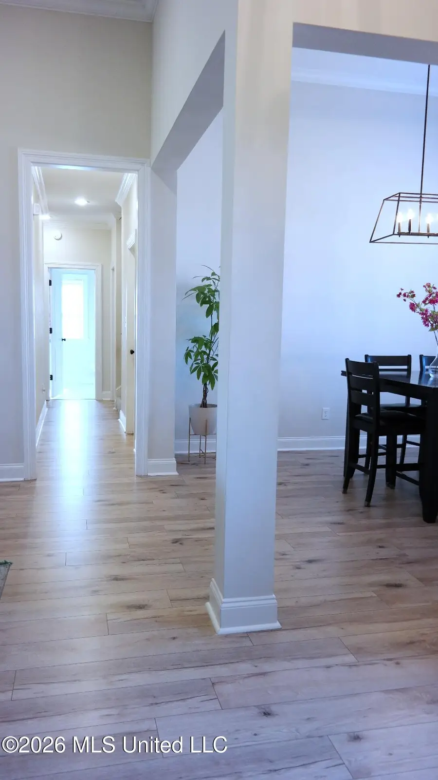 2876 Ross Meadows Lane, Olive Branch, MS 38654 - #2