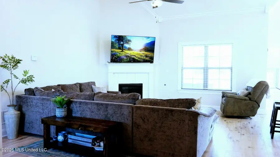 2876 Ross Meadows Lane, Olive Branch, MS 38654 - #3