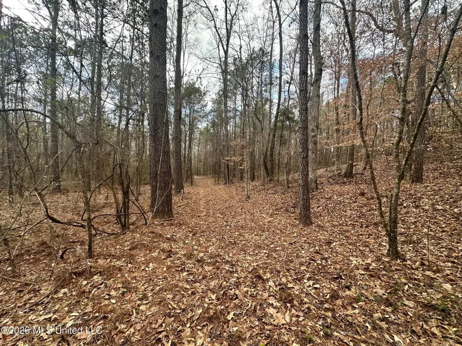 Ward Road, Florence, MS 39073 - #3