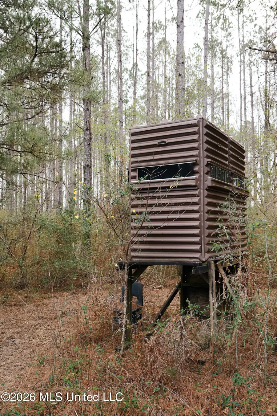 Frog Ridge Road, Jayess, MS 39641 - #3