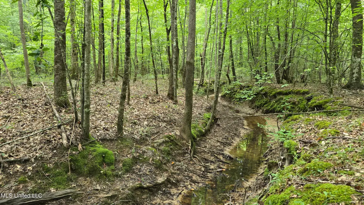 Pearson Road, Stewart, MS 39767 - #1