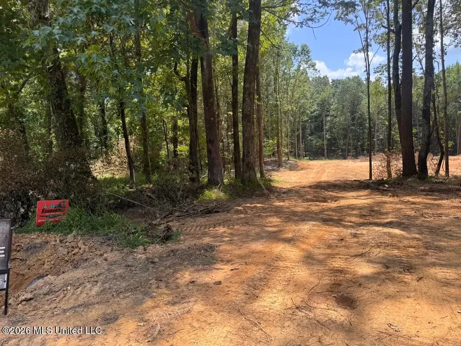 75 Leonard Lane, Holly Springs, MS 38635 - #3