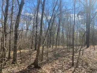 Turkey Creek Road, Natchez, MS 39120 - #3