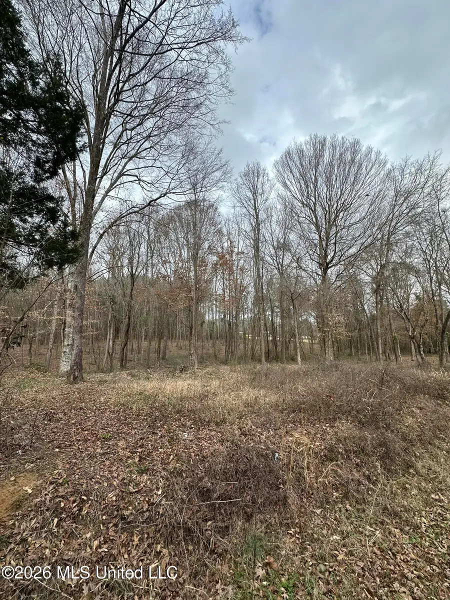 00 Futch Road, Forest, MS 39074 - #3