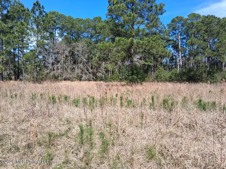 Mill Street, Moss Point, MS 39563 - #3