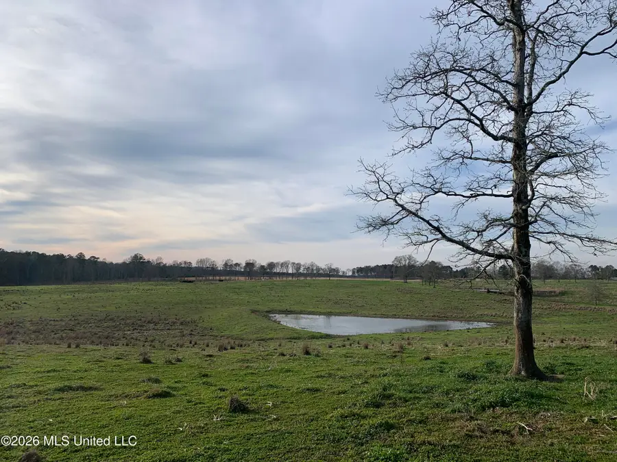 79 Adron Boyd Road, Tylertown, MS 39667 - #3