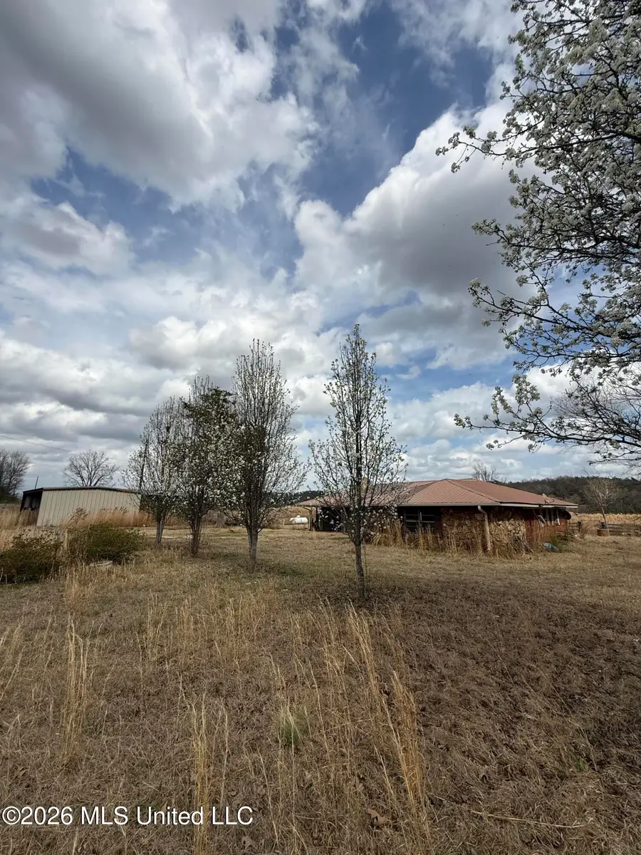 2384 Highway 51, Winona, MS 38967 - #2