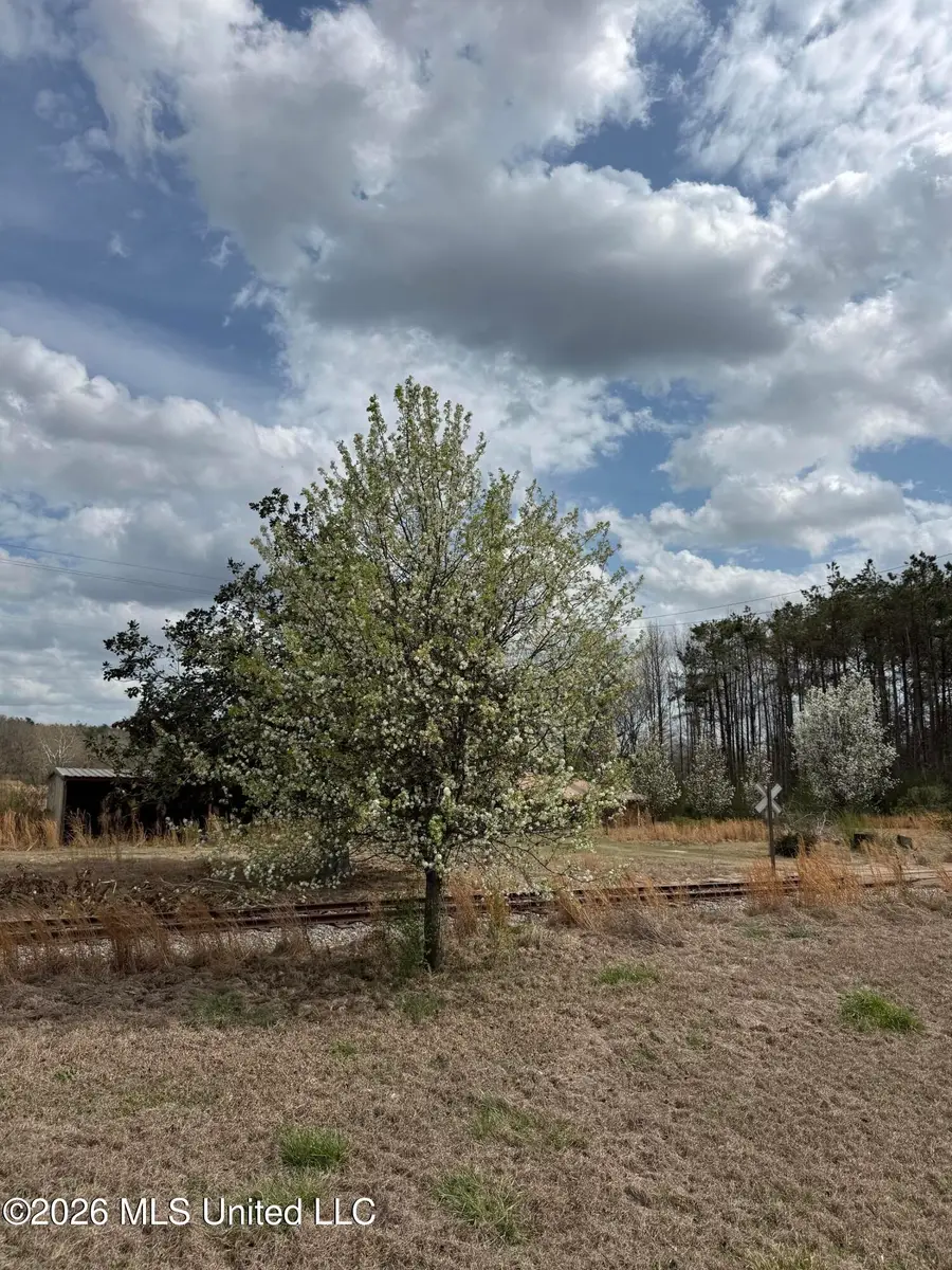 2384 Highway 51, Winona, MS 38967 - #3