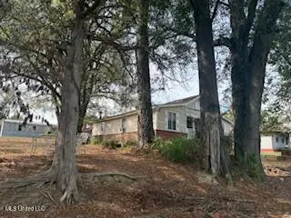 205 Parker Street, Duck Hill, MS 38925 - #3