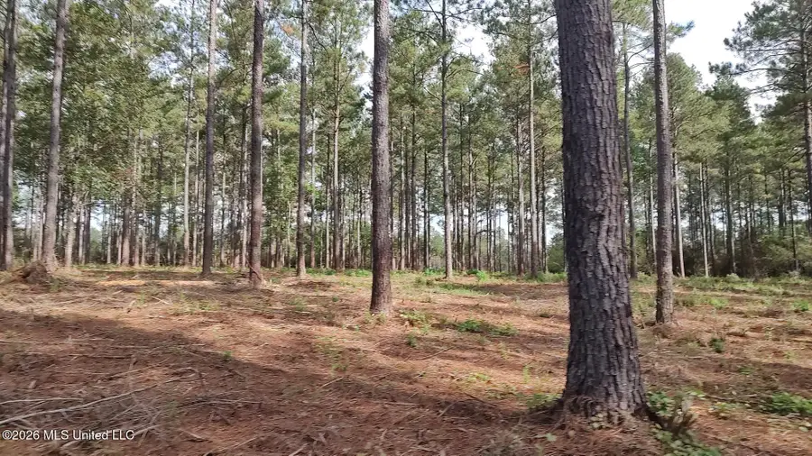 5279 Highway 13, Lumberton, MS 39455 - #3