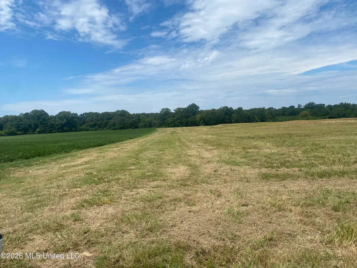 Leesburg Road, Pelahatchie, MS 39145 - #1