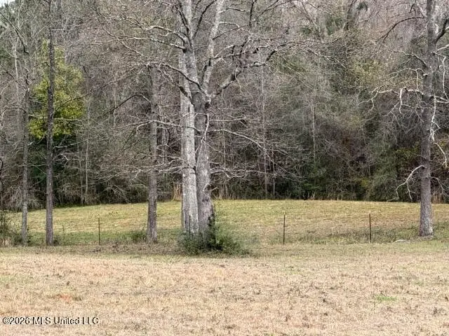 W Hwy 26, Poplarville, MS 39470 - #2