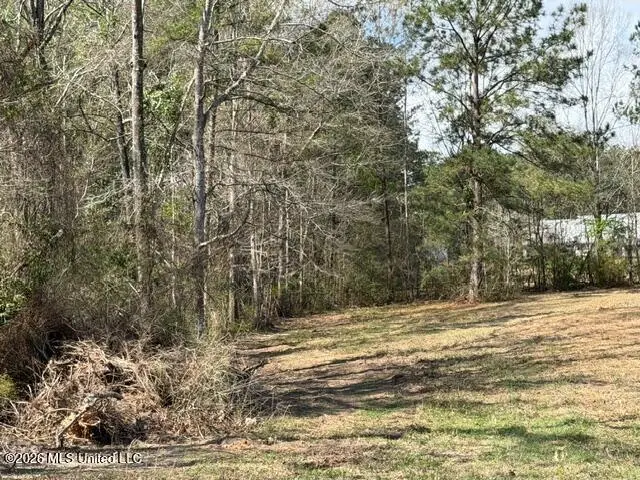 W Hwy 26, Poplarville, MS 39470 - #3