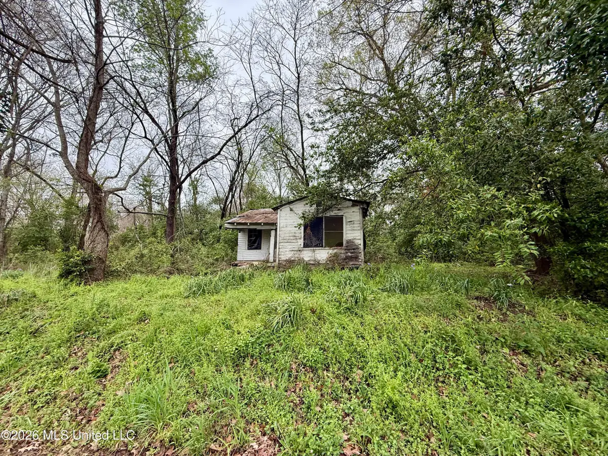 486 W Stiers Lane, Natchez, MS 39120 - #1