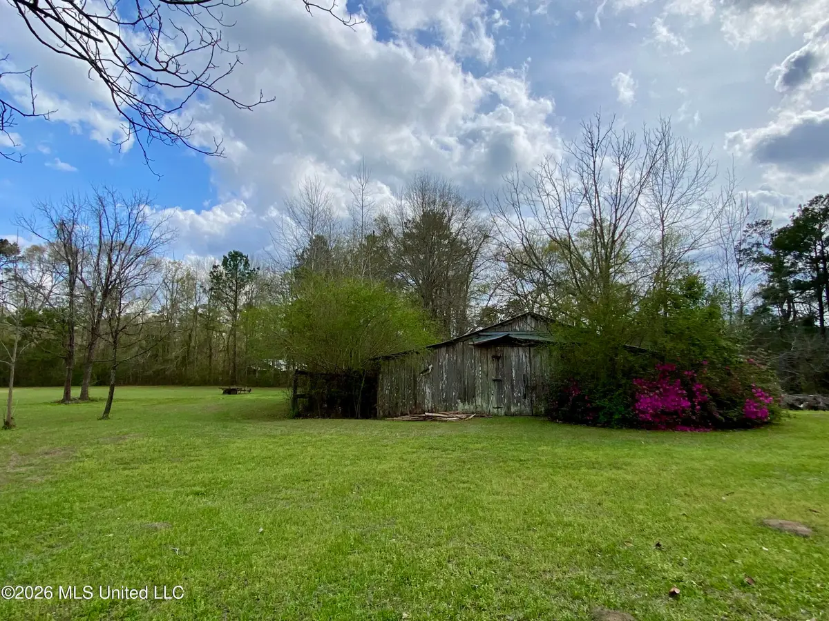 118 Mcneil-henleyfield Road, Carriere, MS 39426 - #1