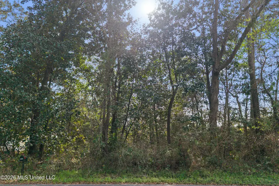 0 Ridge Road, Ocean Springs, MS 39564 - #3