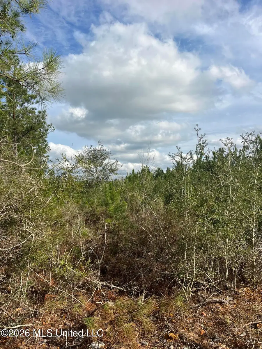 W Wortham Road, Saucier, MS 39574 - #2