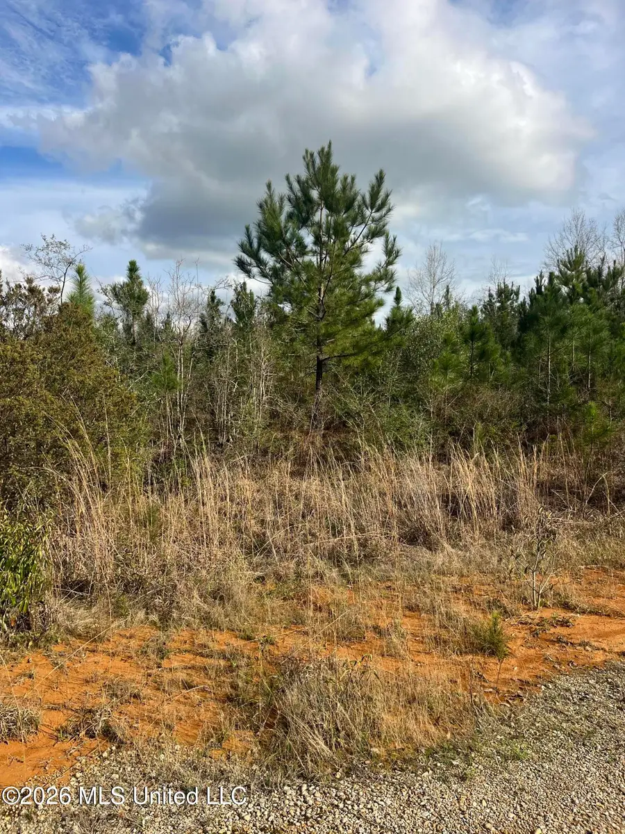 W Wortham Road, Saucier, MS 39574 - #3