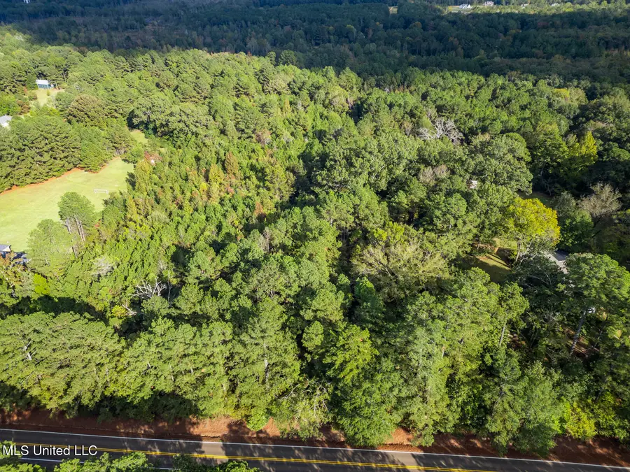 2049 Cleary Road, Florence, MS 39073 - #3