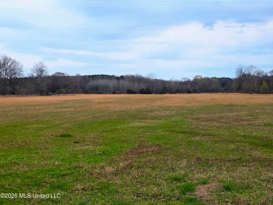 Barr Road, Coldwater, MS 38618 - #2