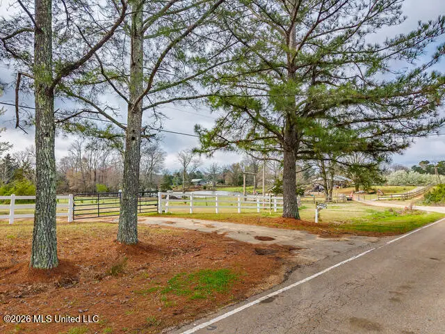 4597 Hernando Road, Holly Springs, MS 38635 - #1