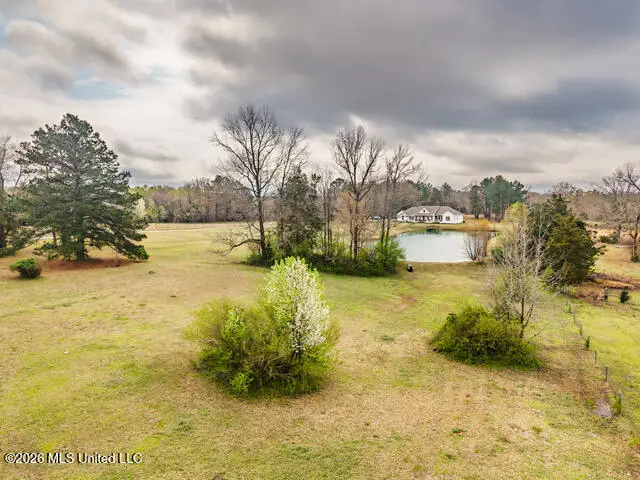 4597 Hernando Road, Holly Springs, MS 38635 - #3