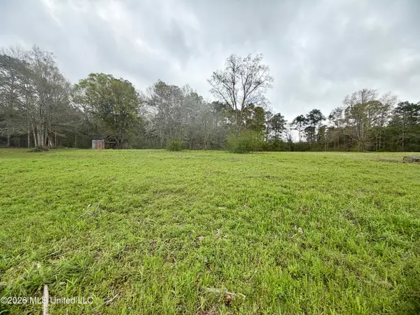 0 Palestine Road, Picayune, MS 39466