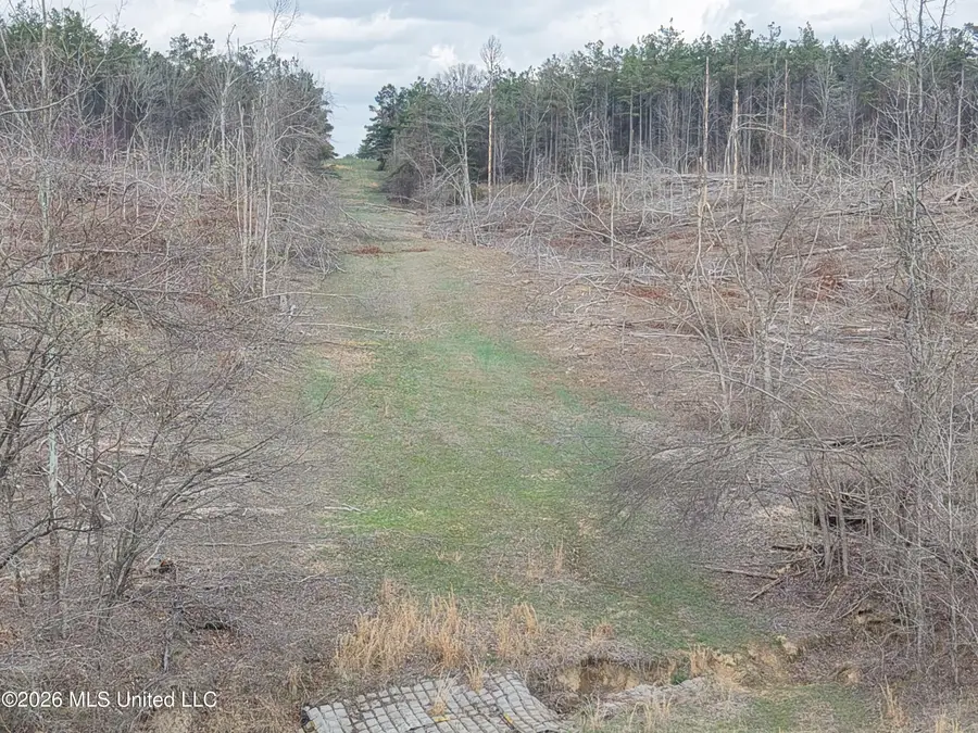 001 Lane Rd, Cascilla, MS 38920 - #3