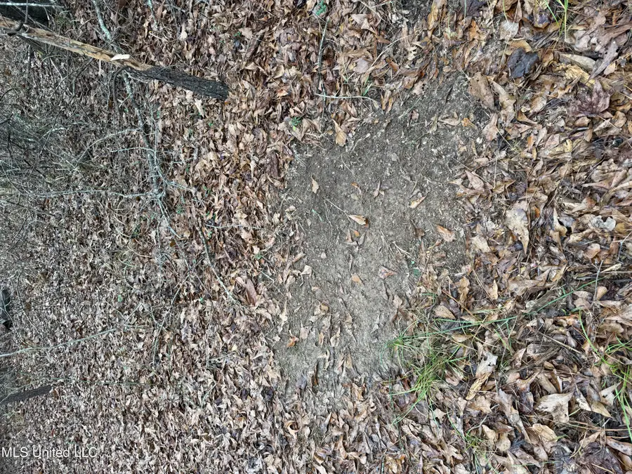 602 Ship Island Road, Duck Hill, MS 38925 - #3