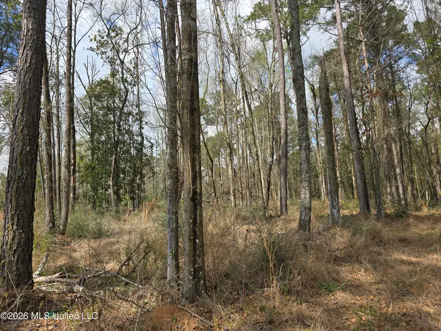 2556 SW 98 Highway, Smithdale, MS 39664 - #3