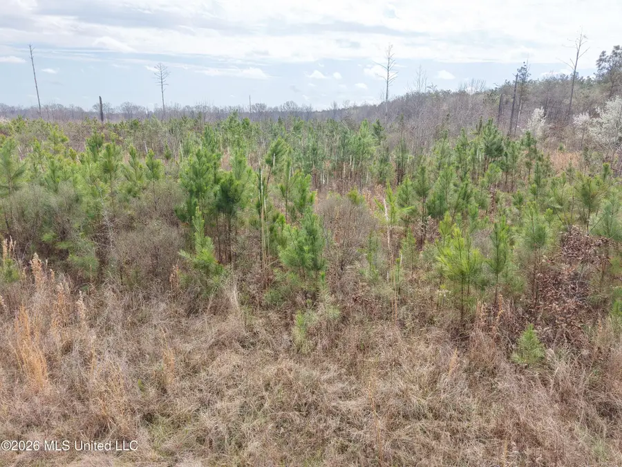 002 Reed Road, Starkville, MS 39759 - #3