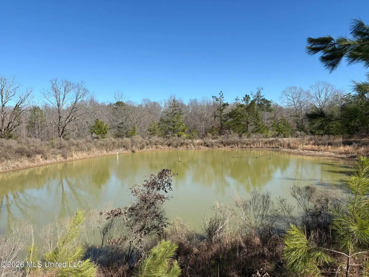 Nelia Road, Grenada, MS 38901 - #1