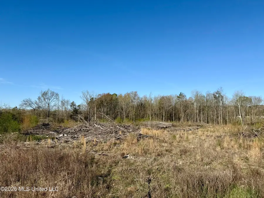 385 Vanarsdale Road, Pickens, MS 39146 - #2