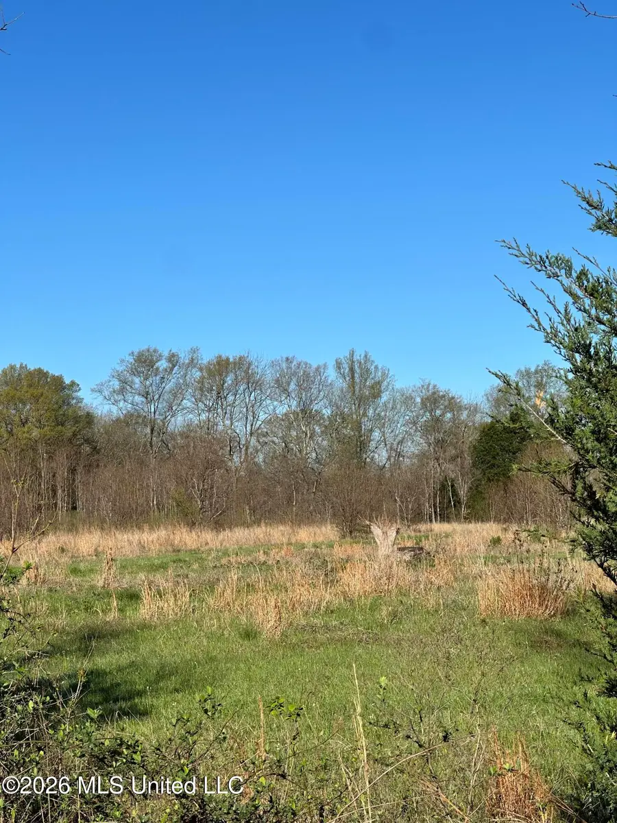 Ms-469, Florence, MS 39073 - #2