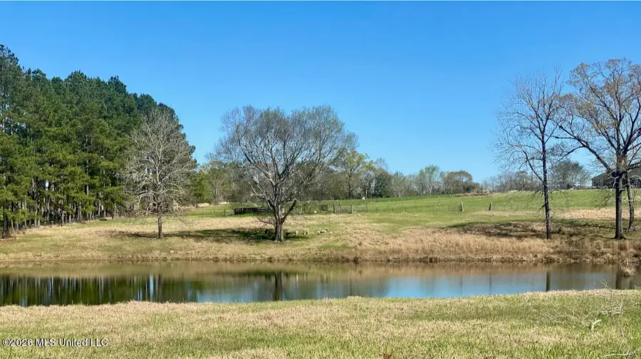 1133 Hancock Road, Lucedale, MS 39452 - #3