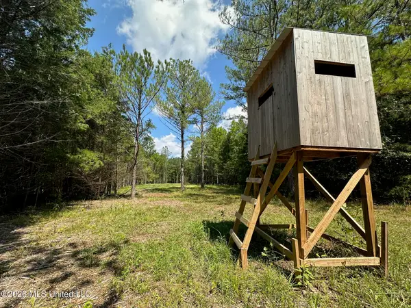 5 Forest Service Road 562, Pulaski, MS 39152