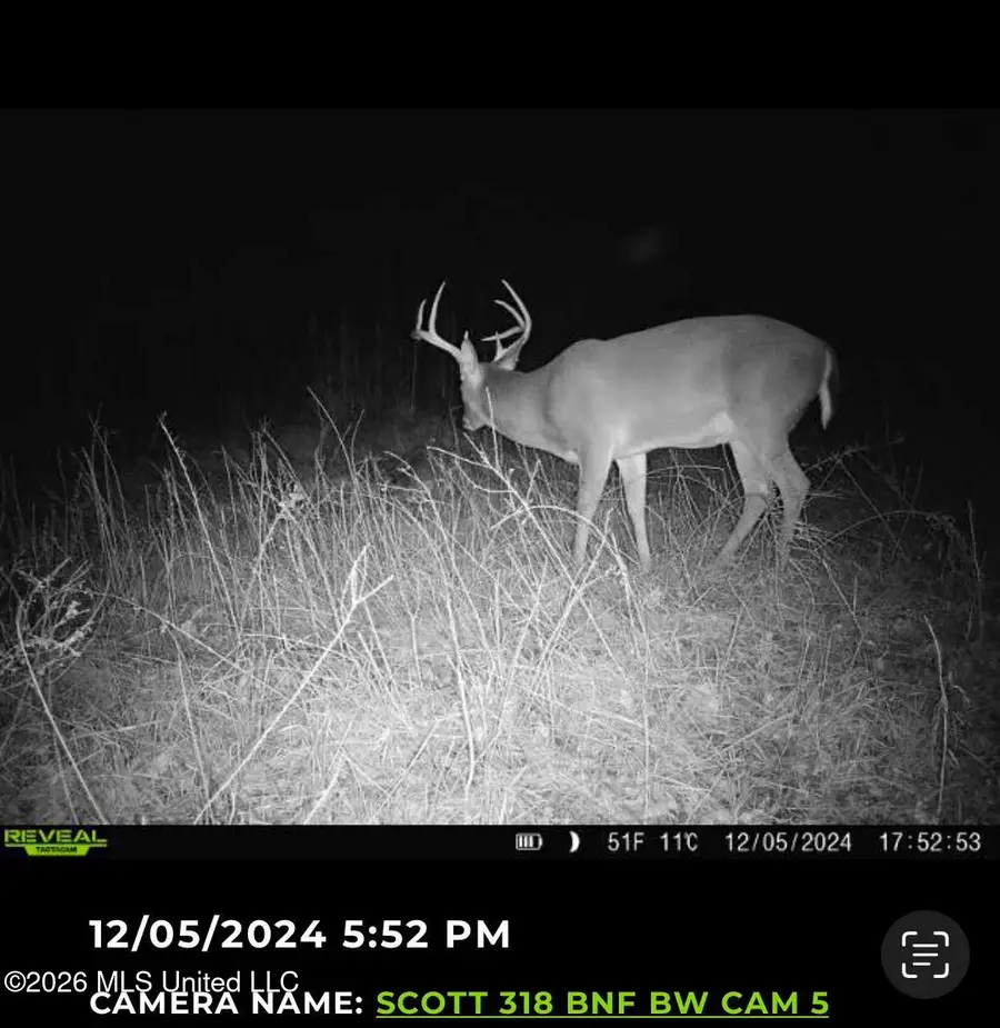 5 Forest Service Road 562, Pulaski, MS 39152 - #3