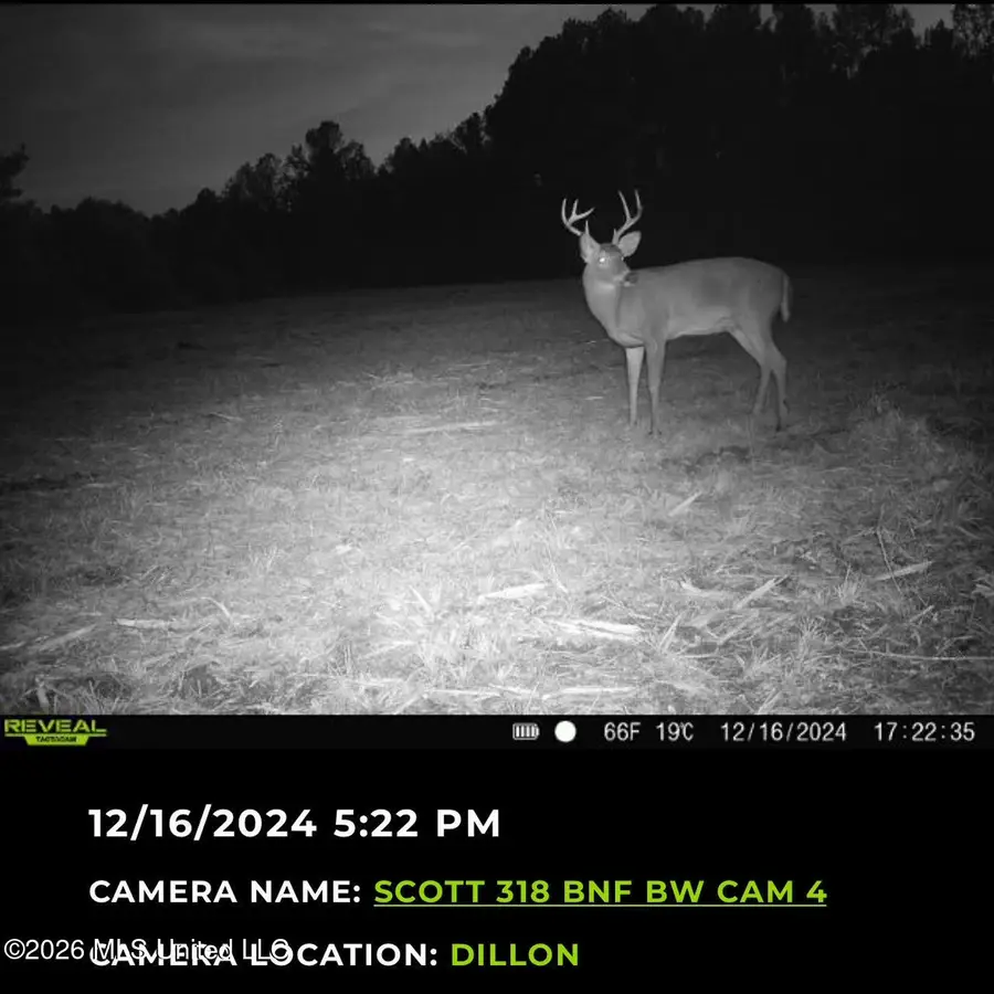 6 Forest Service Road 562, Pulaski, MS 39152 - #2