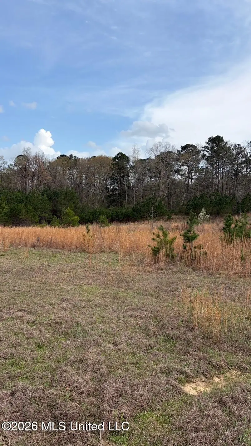 0 N Hwy 43, Pelahatchie, MS 39145 - #2
