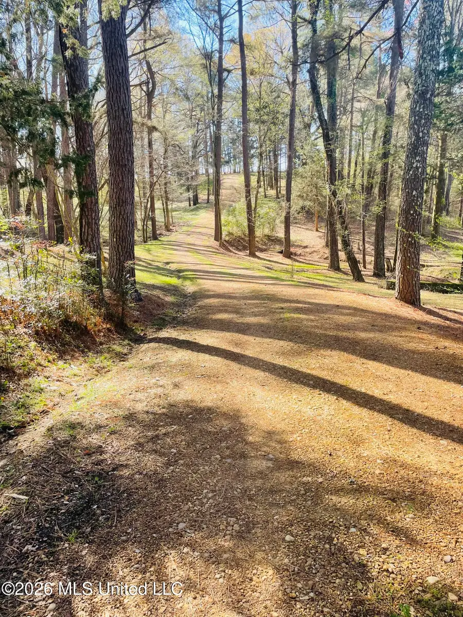 6165 W Mississippi 4, Senatobia, MS 38668 - #3