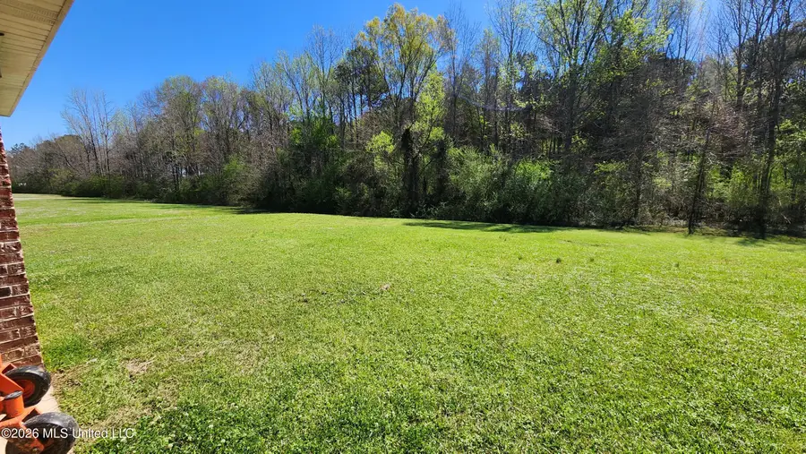 244 Levon Owens Drive, Terry, MS 39170 - #3