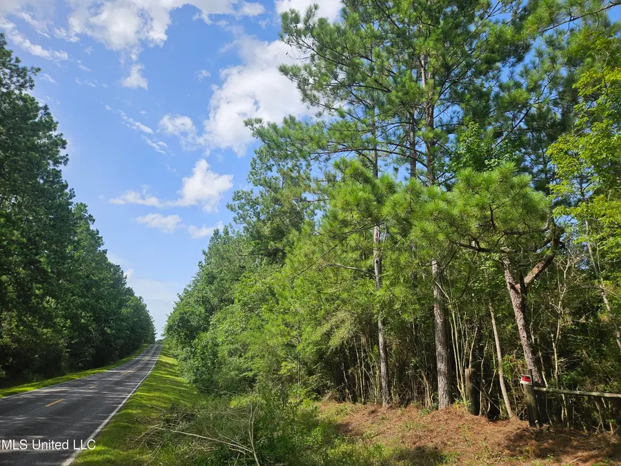 23150 Tally Shaw Road, Perkinston, MS 39573 - #3