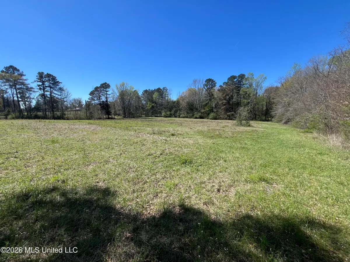 Raymond Bolton Road, Bolton, MS 39041 - #1