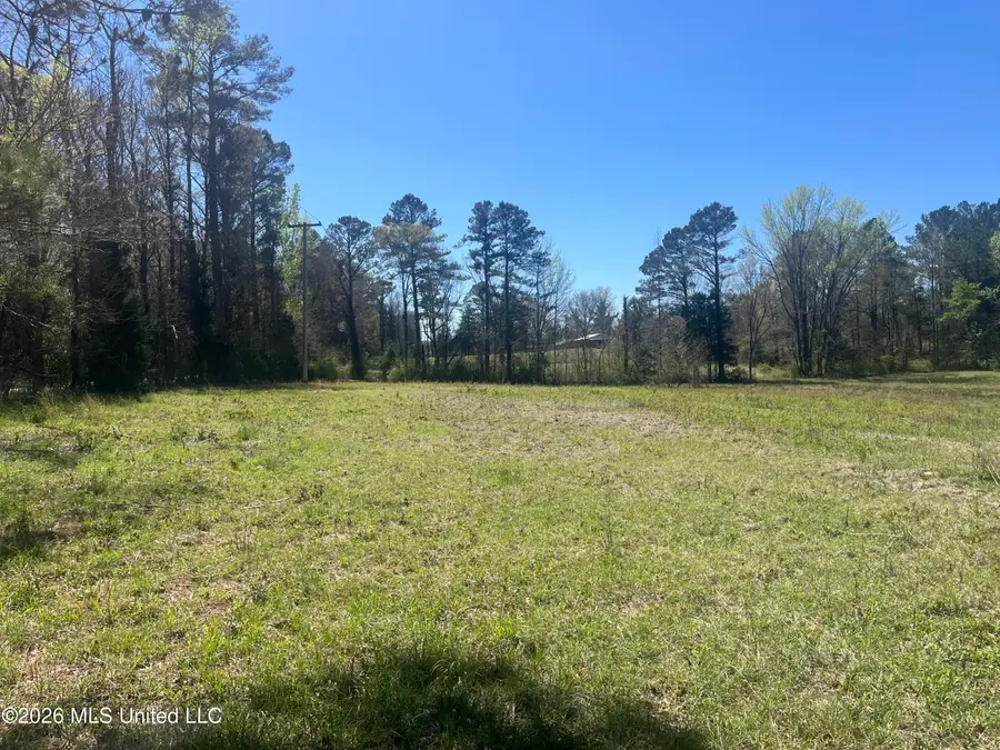 Raymond Bolton Road, Bolton, MS 39041 - #2