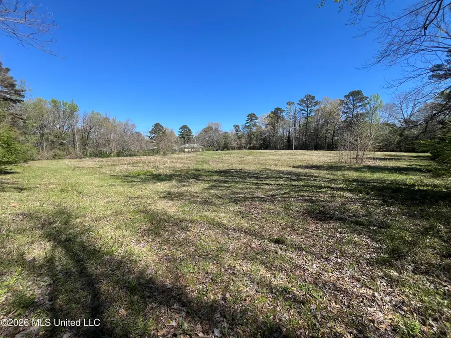 Raymond Bolton Road, Bolton, MS 39041 - #3