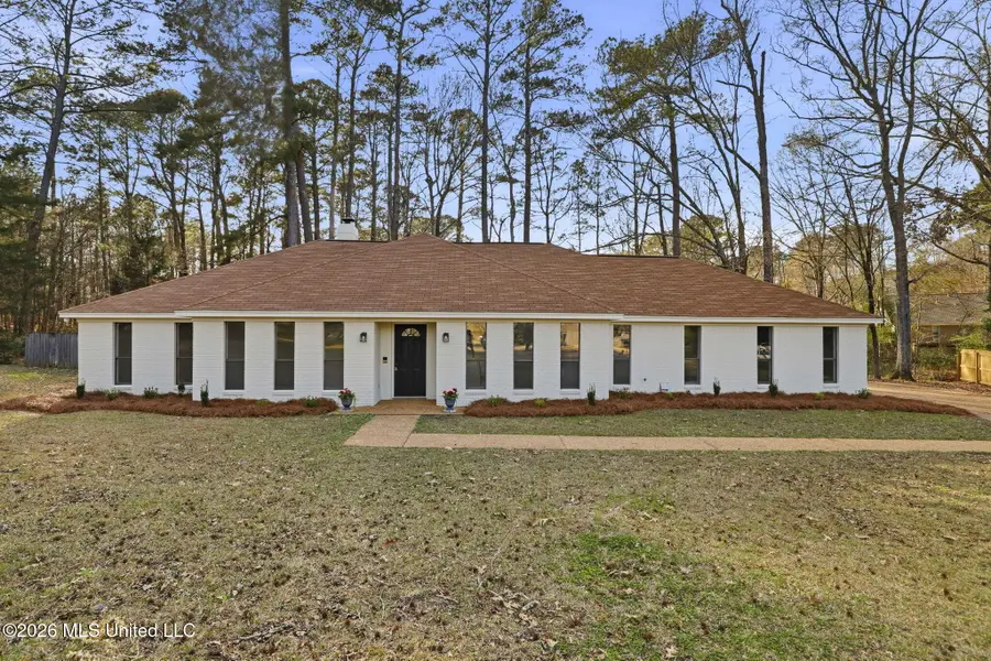 409 Arundel Drive, Brandon, MS 39047 - #2