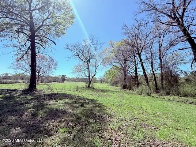 Sanders Road, Kentwood, LA 70444 - #3