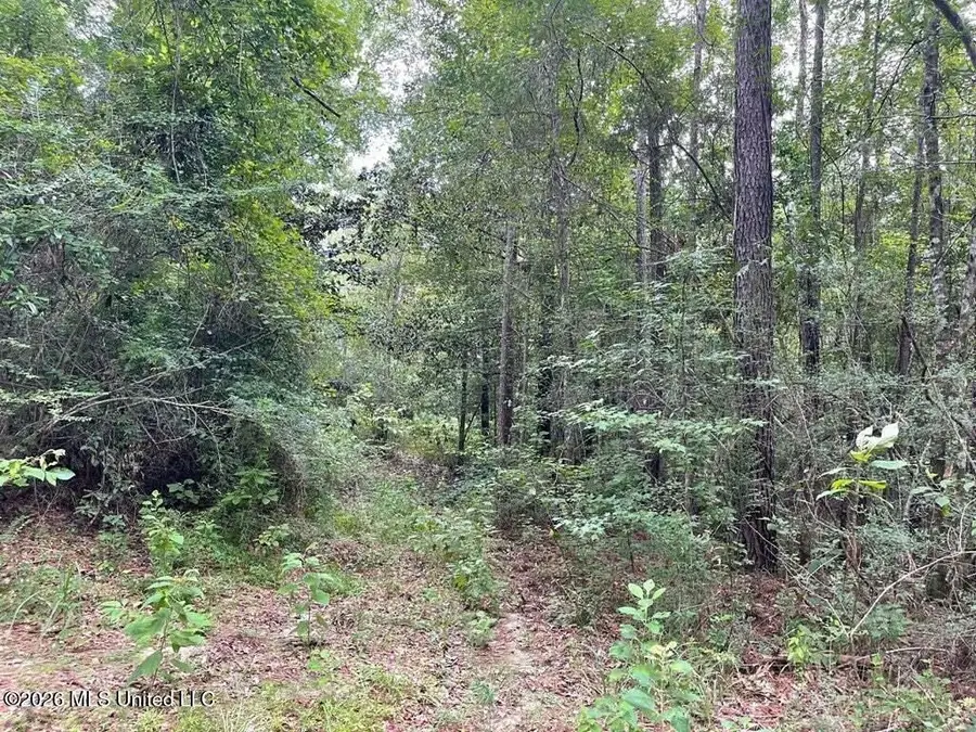 0 Highway 439, Franklinton, LA 70438 - #3