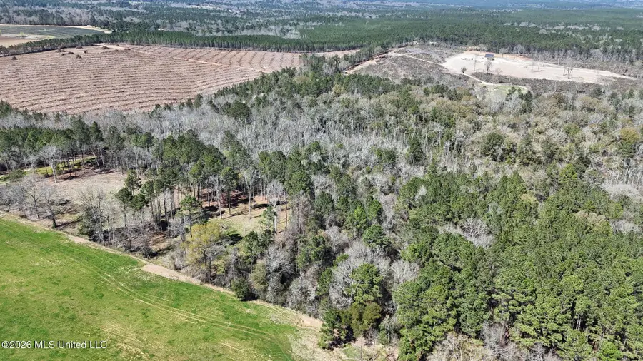 21.8 Acres Flournoy Road, Lucedale, MS 39452 - #3