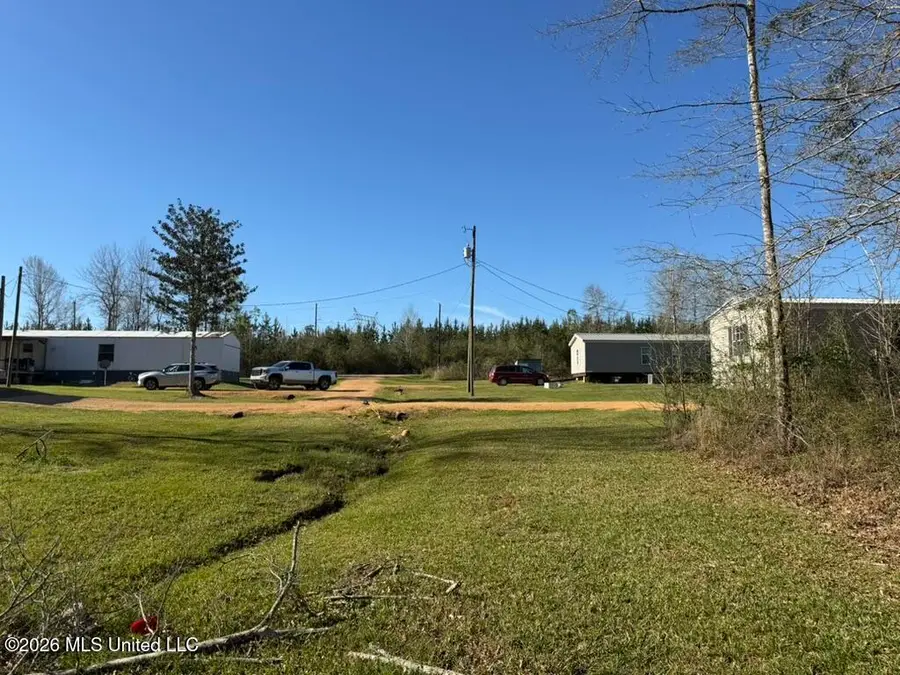 1404 SW Gene Road, Bogue Chitto, MS 39629 - #2